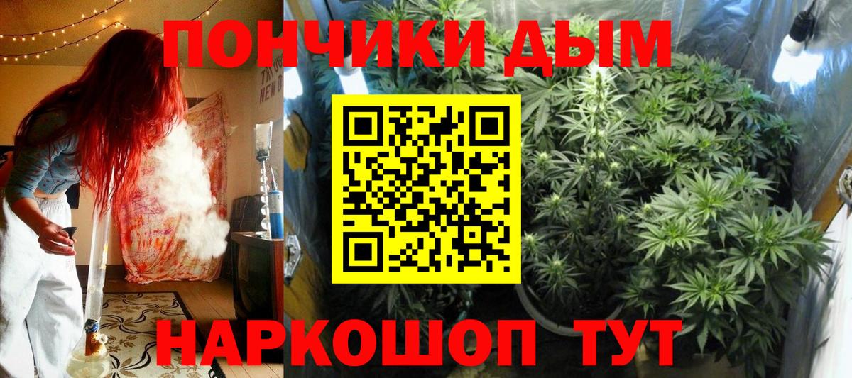 Гатчина  Бошки марихуана тримм  Марихуана марихуана  Вход с VPN 